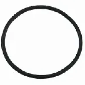 Anel O-ring Da Bomba D Água A0249972848