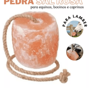 Bloco De Sal Rosa Do Himalaia 2.9kg – Agrozootec