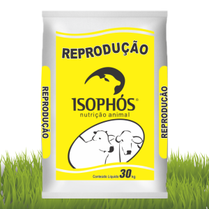 Isophós Reprodução