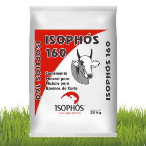 Isophós 160