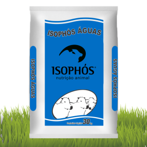 Isophós águas