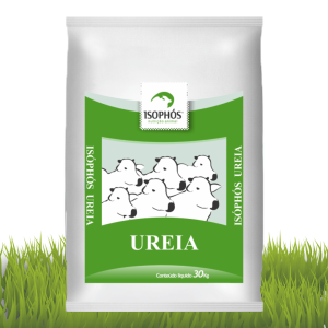 Isophós Ureia