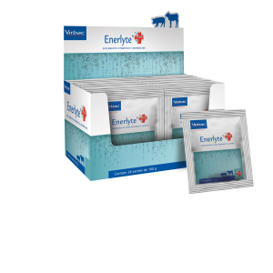 Enerlyte Plus 100g (unit.) – Virbac