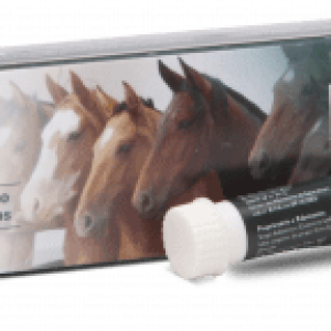 Padock Plus Nf Pasta 6g – Ceva