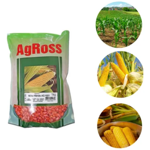 Sementes Milho Verde Sopa Pamonha Curau Híb Ag 1051 Pct 1 Kg