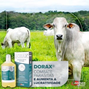 Dorax 1% Inj 500ml – Agener União