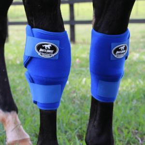 Kit Joelheira Color Azul Royal – Boots Horse