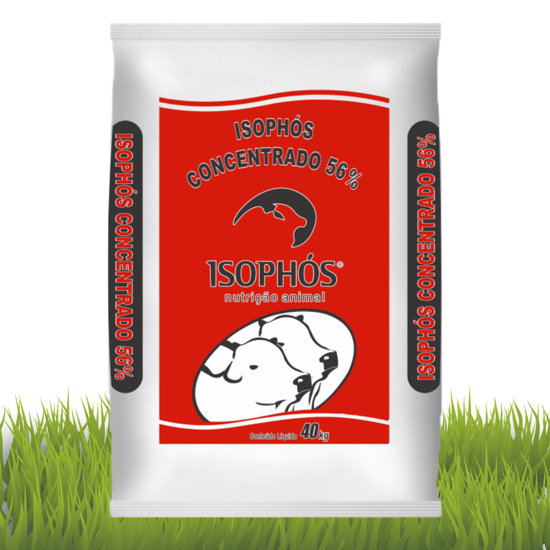 Isophós Reprodução