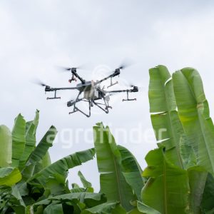 Drone DJI T 30 ano 2025