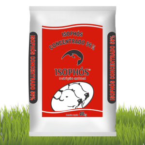 Concentrado Isophós 56%