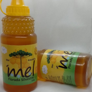 Mel Florada Silvestre 500g