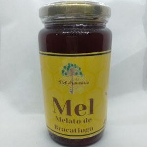 Mel Melato de Bracatinga 450g