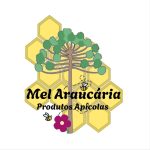 Mel Araucária
