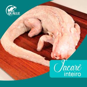 Jacaré Inteiro