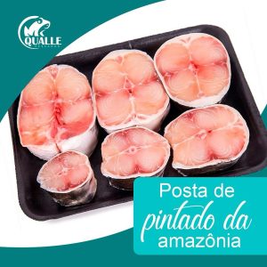 Posta de Pintado da Amazônia