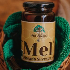 Mel Silvestre 500g – Pote