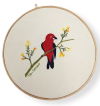Quadro Bastidor Tié-Sangue – Tamanho 25 cm bordado à mão