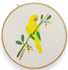 Quadro Bastidor Ararajuba – Tamanho 25 cm bordado à mão
