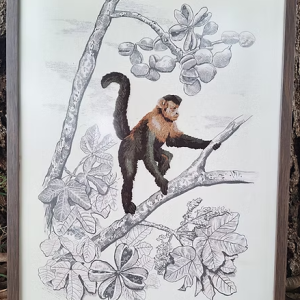 Quadro com moldura Macaco-Prego – Tamanho 47×27 cm bordado à mão