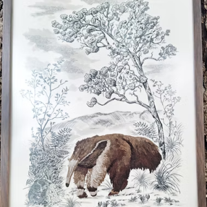 Quadro com moldura Tamandúa – Tamanho 47×27 cm bordado à mão