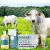 Dorax 1% Inj 50ml – Agener União